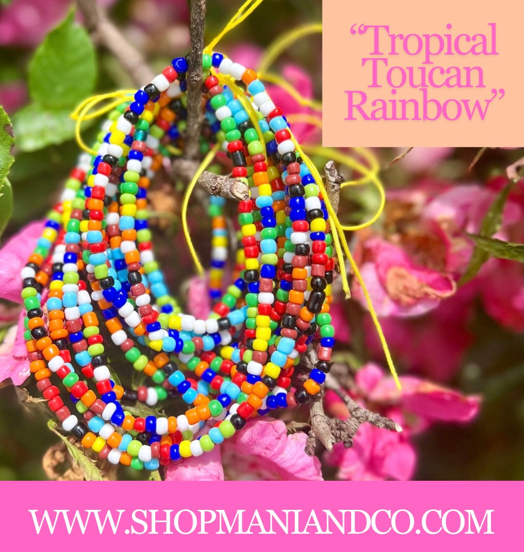 Tropical Toucan 🌴🌈 Waist Beads